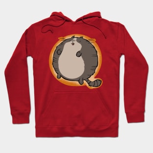 Grey Tabby Sphere Cat Hoodie